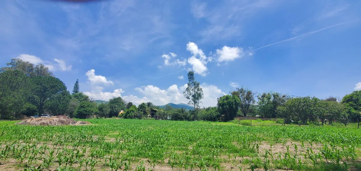 Foto 4 de Terreno en Venta cerca de CUTLAJO | Ideal para Casa de Campo