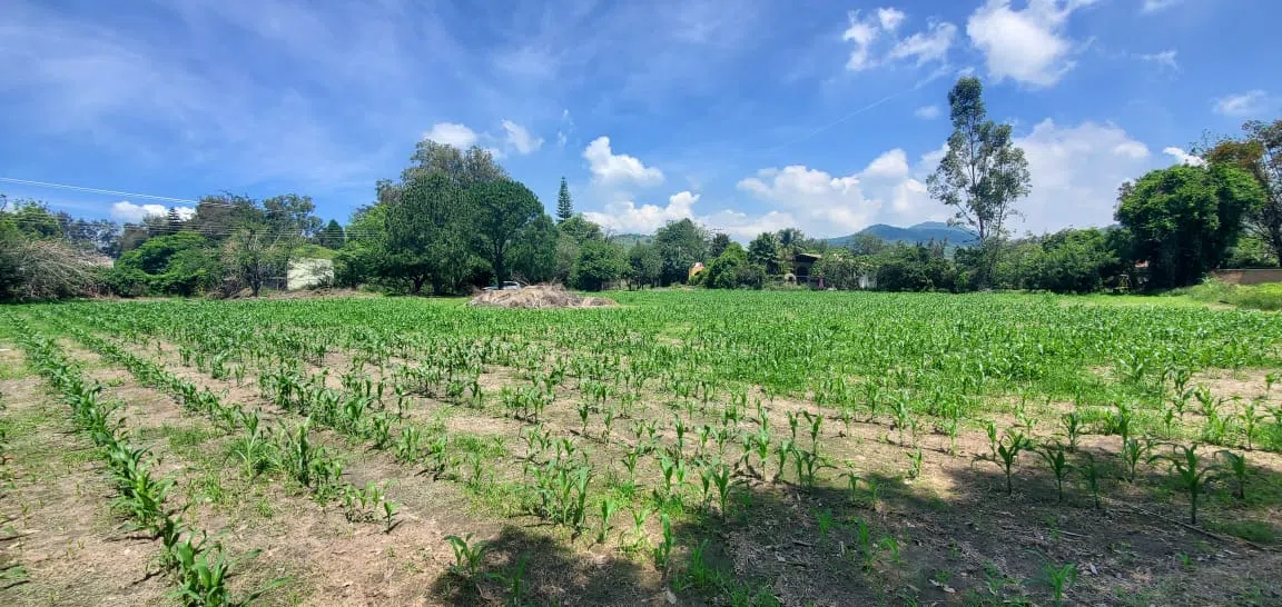 Foto 5 de Terreno en Venta cerca de CUTLAJO | Ideal para Casa de Campo