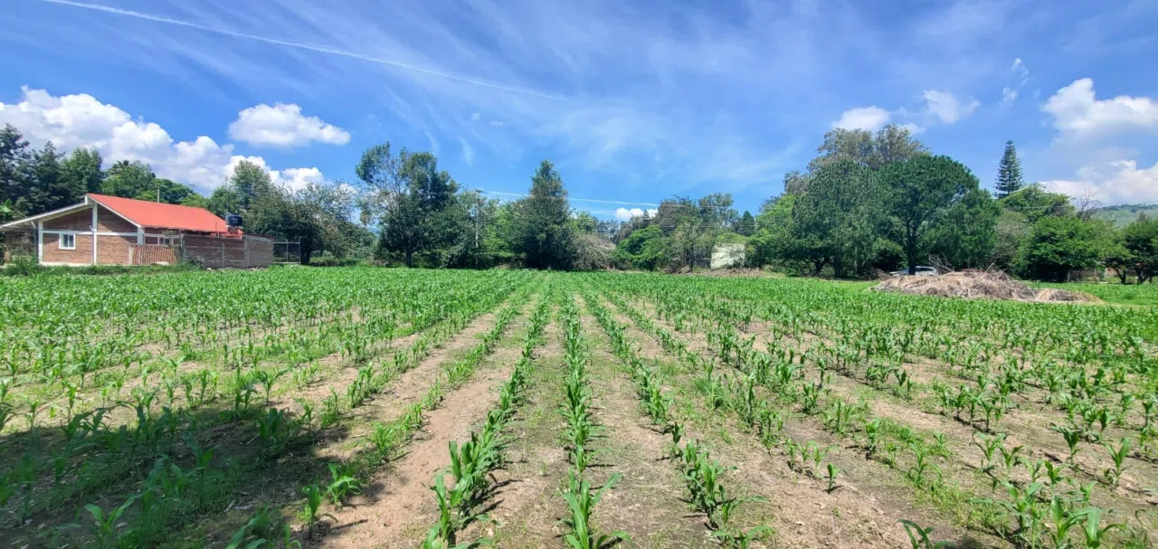 Foto 6 de Terreno en Venta cerca de CUTLAJO | Ideal para Casa de Campo
