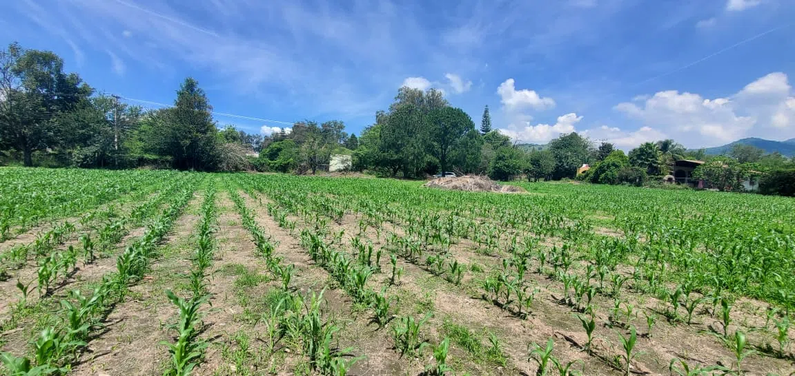 Foto 7 de Terreno en Venta cerca de CUTLAJO | Ideal para Casa de Campo
