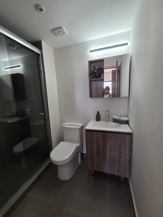 Foto 7 de Departamento en venta Col. Americana