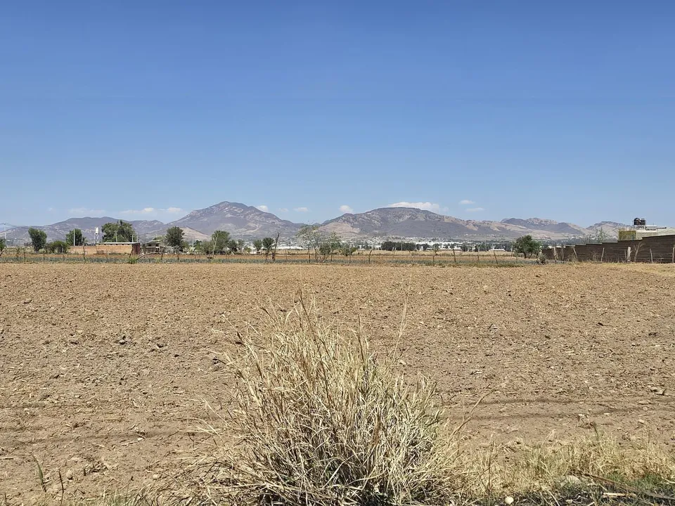 Foto 3 de Zona Ramon Corona, terreno en venta