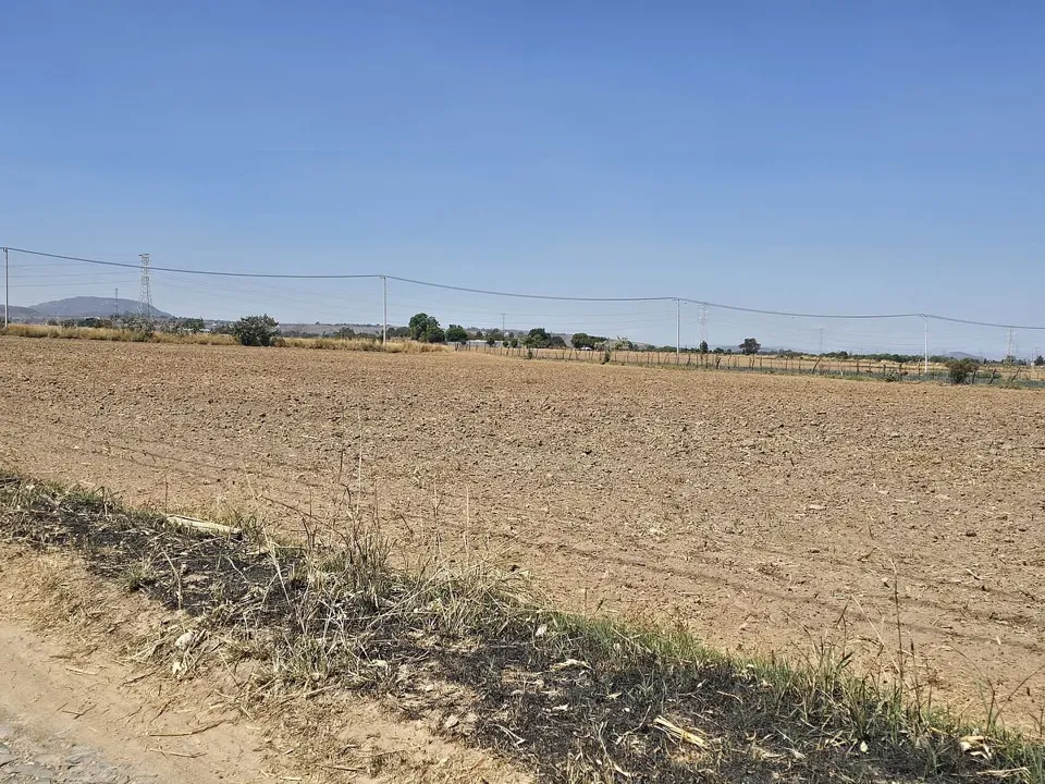 Foto 4 de Zona Ramon Corona, terreno en venta