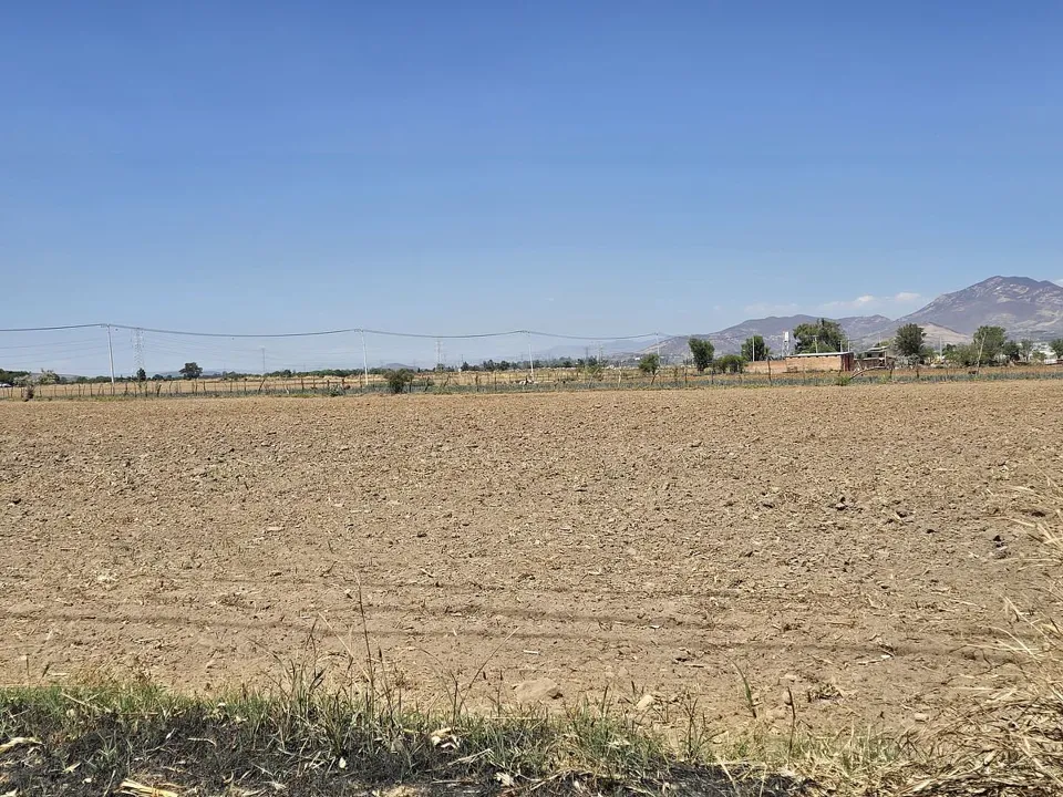 Foto 5 de Zona Ramon Corona, terreno en venta