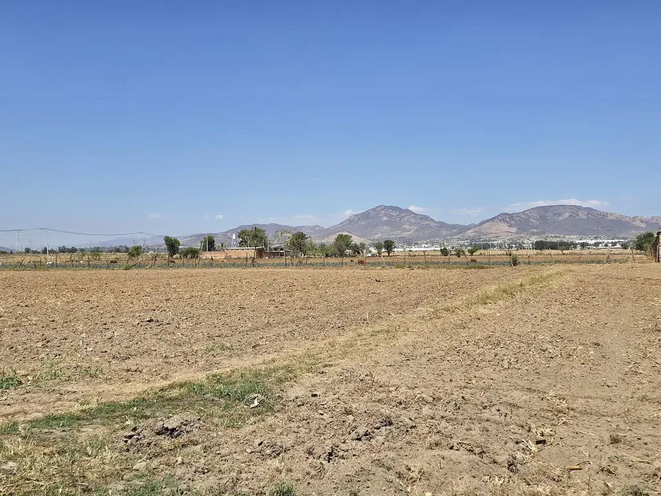 Foto 6 de Zona Ramon Corona, terreno en venta