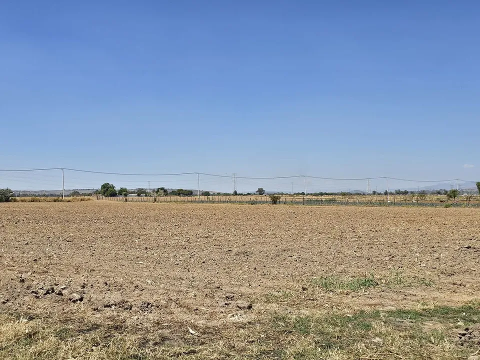 Foto 7 de Zona Ramon Corona, terreno en venta