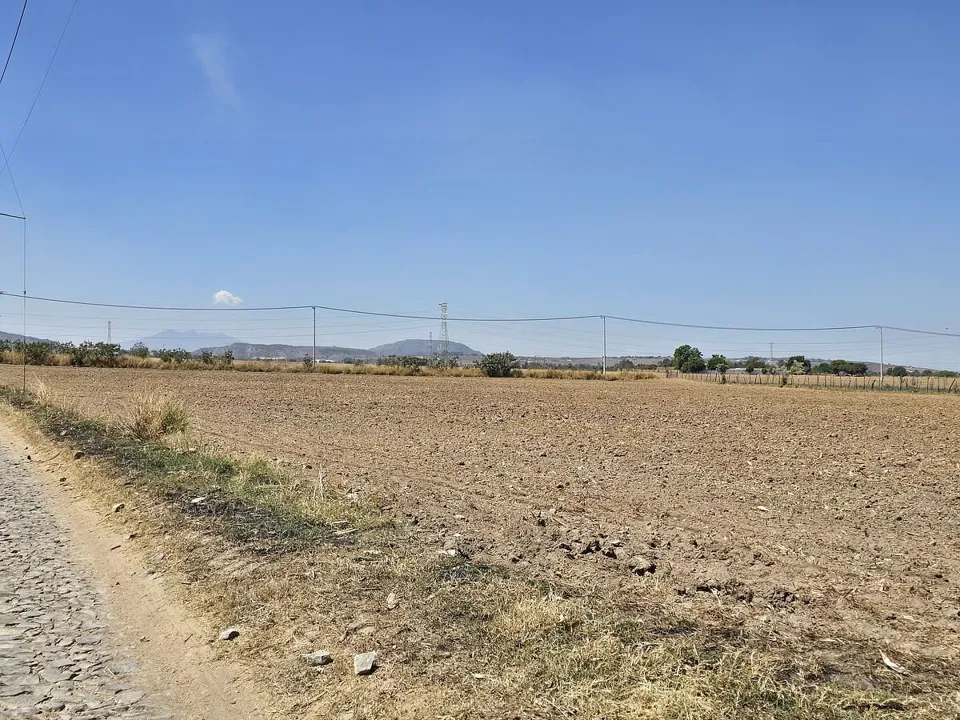 Foto 8 de Zona Ramon Corona, terreno en venta