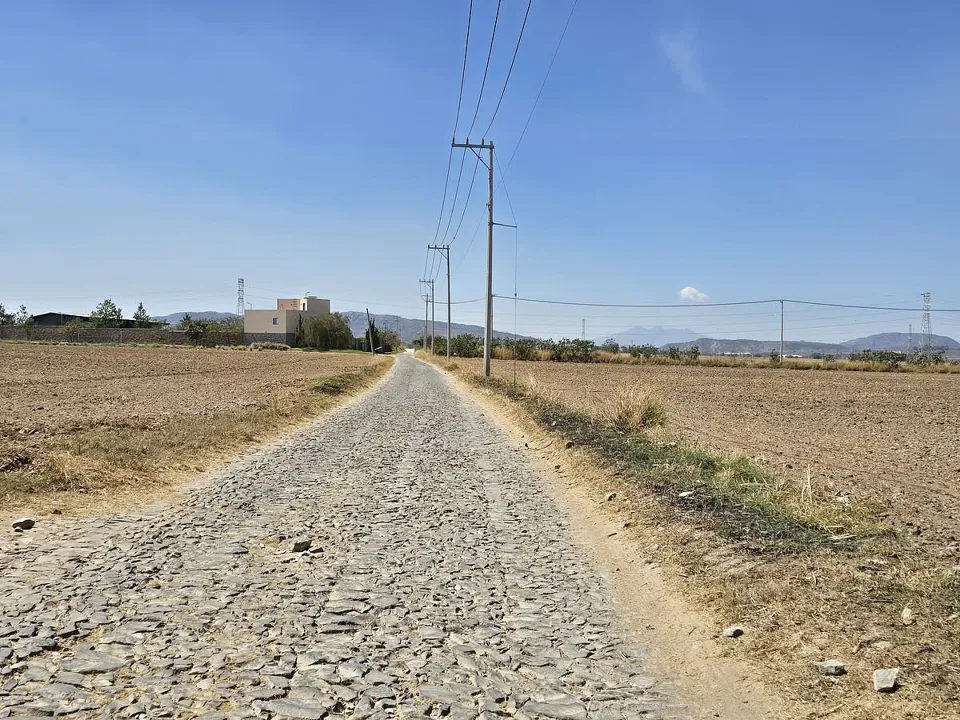 Foto 9 de Zona Ramon Corona, terreno en venta