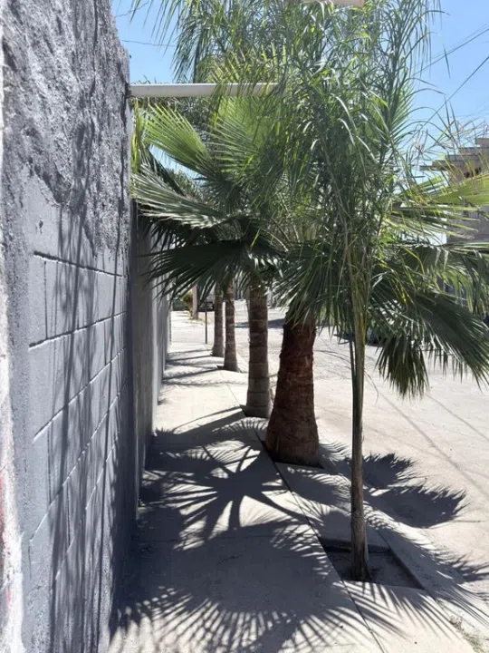Foto 4 de Casa en Salvador  #101 , Tlajomulco de Zúñiga