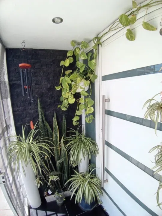 Foto 6 de Casa en Salvador  #101 , Tlajomulco de Zúñiga