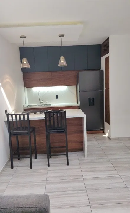 Foto 4 de DEPARTAMENTO AMUEBLADO TIPO LOFT  EN RENTA EN  LAS ÁGUILAS .