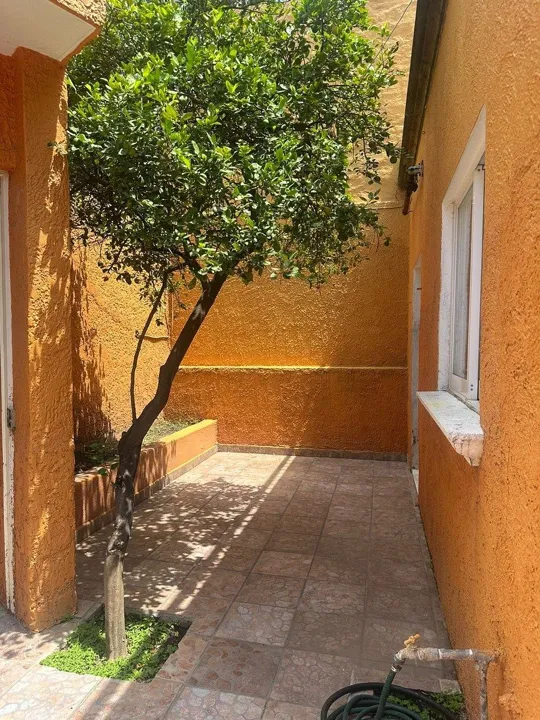Foto 4 de Casa en Renta en Lomas de Polanco | 5 Recámaras y Amplios Espacios