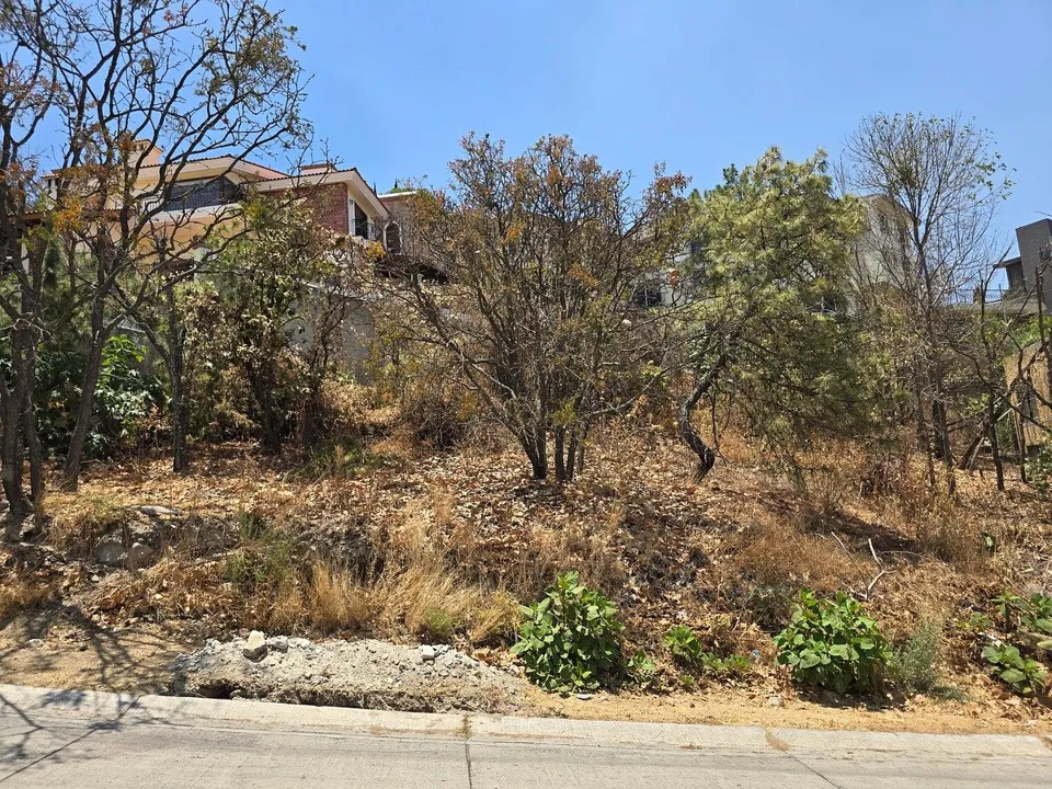 Foto 2 de TERRENO EN VENTA EN EL PALOMAR, TLAJOMULCO