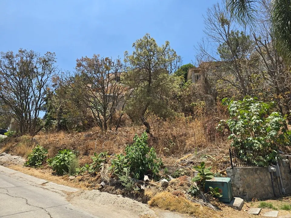 Foto 3 de TERRENO EN VENTA EN EL PALOMAR, TLAJOMULCO