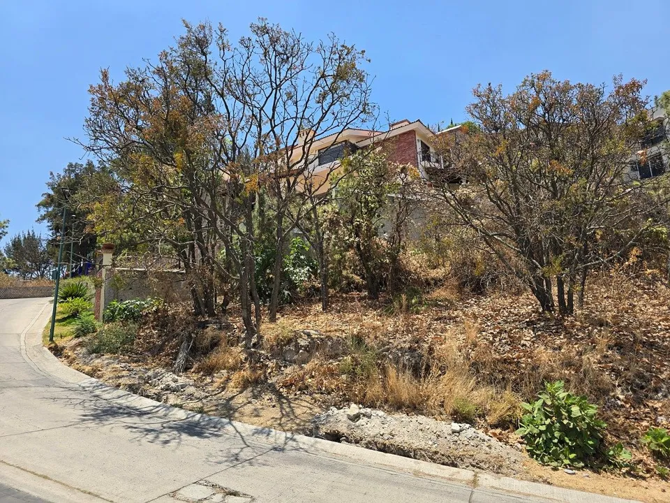 Foto 4 de TERRENO EN VENTA EN EL PALOMAR, TLAJOMULCO