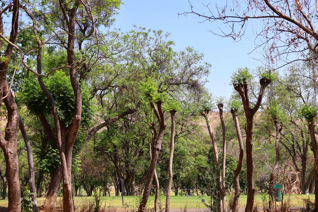 Terreno en venta en Fracc. Las Cañadas, Zapopan, Jalisco.