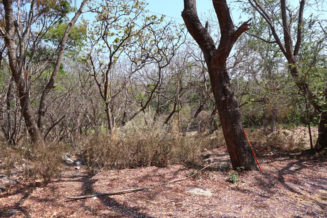 Foto 7 de Terreno en venta en Fracc. Las Cañadas, Zapopan, Jalisco.