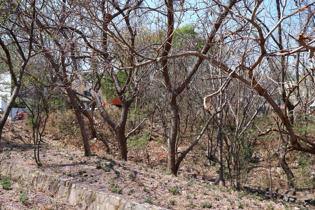 Foto 8 de Terreno en venta en Fracc. Las Cañadas, Zapopan, Jalisco.