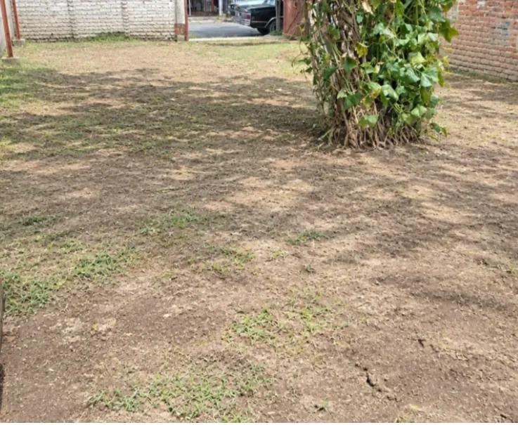 Foto 2 de Terreno en venta en Agapando, Los Girasoles, Zapopan
