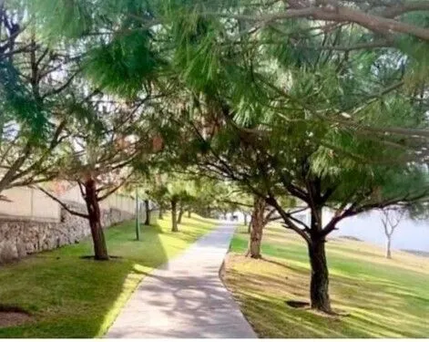 Foto 8 de CASA EN VENTA BOSQUE REAL TLAJOMULCO DE ZUÑIGA JALISCO