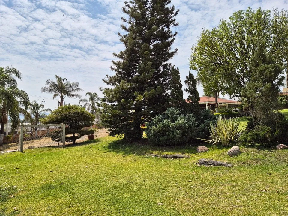 Foto 8 de Terreno en venta con terraza para eventos en Buenavista Jalisco 🌴