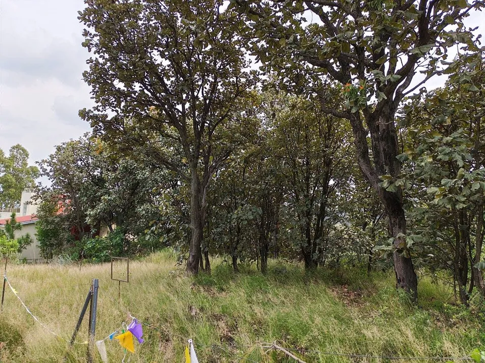 Foto 5 de Terreno en Venta en El Palomar