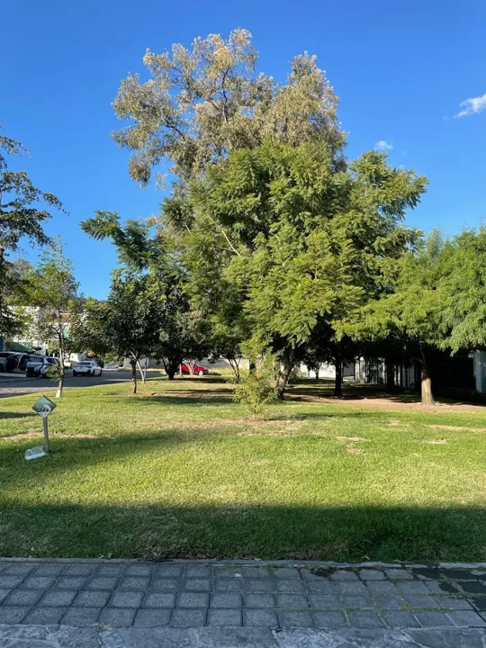 Foto 9 de Terreno en Venta en Fracc El Manantial - Paseo del Bosque 8