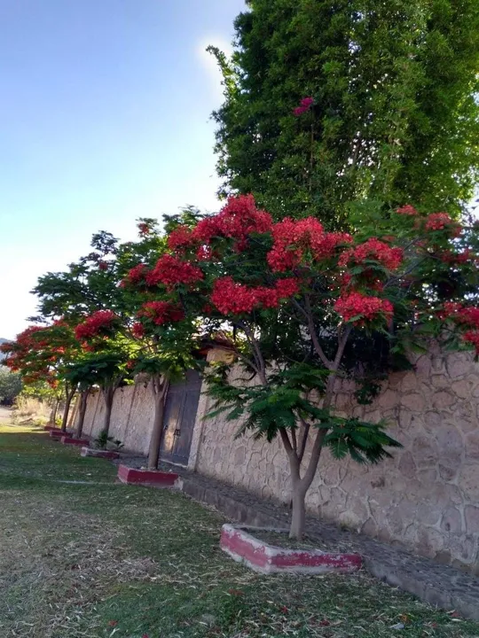 Foto 2 de CASA DE CAMPO NUEVA EN VENTA, COL. MILPILLAS, ZAPOPAN, JAL.