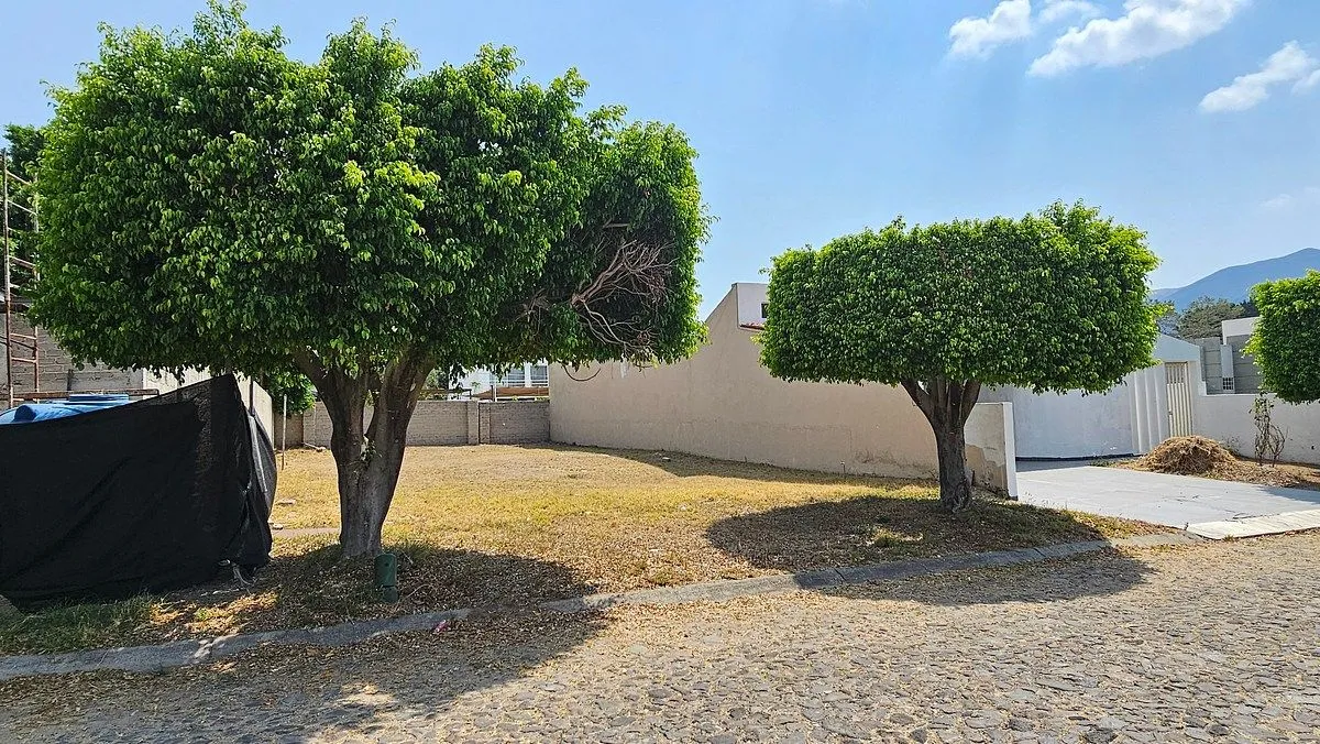 Foto 4 de Terreno en Venta en Colinas de Santa Anita