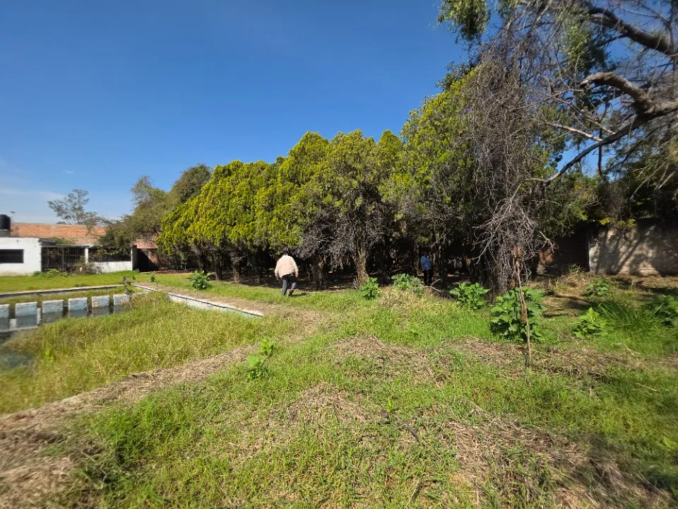 Foto 3 de Terreno en venta en Privada Tamarindo, Paseos Del Padro, San Pedro Tlaquepaque
