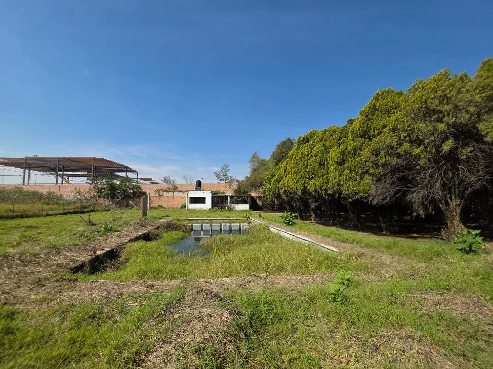 Foto 4 de Terreno en venta en Privada Tamarindo, Paseos Del Padro, San Pedro Tlaquepaque