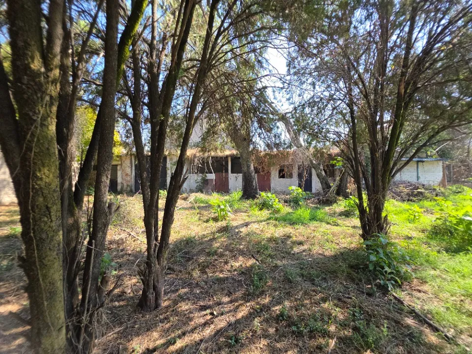 Foto 6 de Terreno en venta en Privada Tamarindo, Paseos Del Padro, San Pedro Tlaquepaque