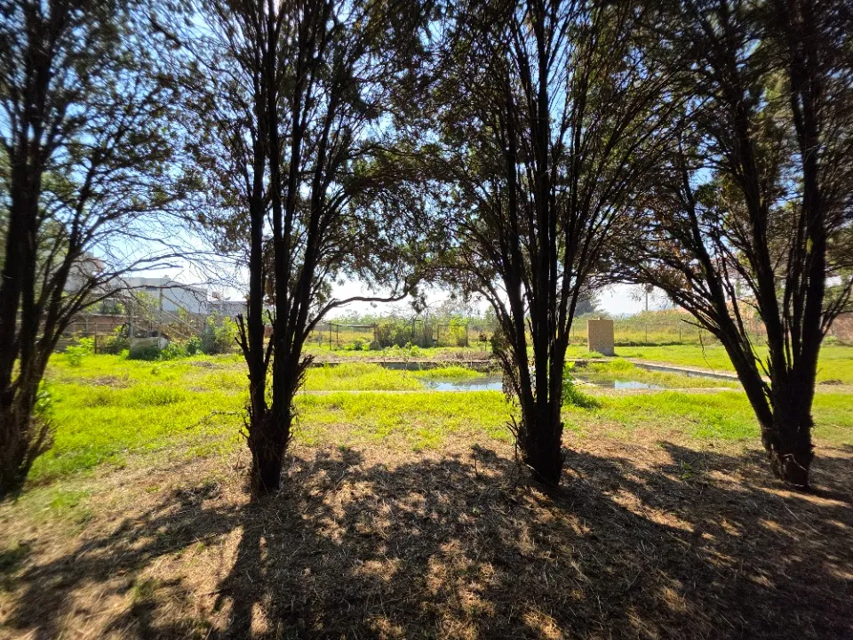 Foto 7 de Terreno en venta en Privada Tamarindo, Paseos Del Padro, San Pedro Tlaquepaque