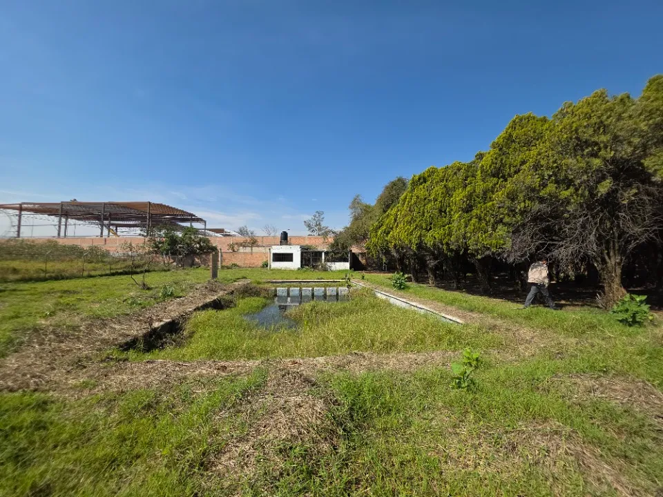 Foto 9 de Terreno en venta en Privada Tamarindo, Paseos Del Padro, San Pedro Tlaquepaque