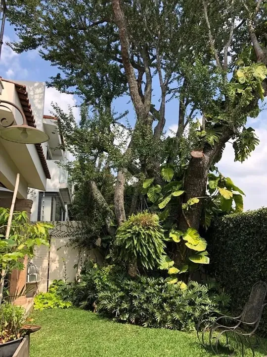Foto 6 de CASA EN VENTA EN FRACCIONAMIENTO EL MANANTIAL