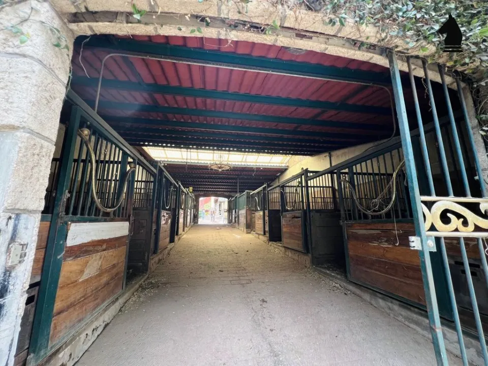 Foto 3 de Terreno en venta en Calle Camino Nacional, Mariano Otero, Zapopan