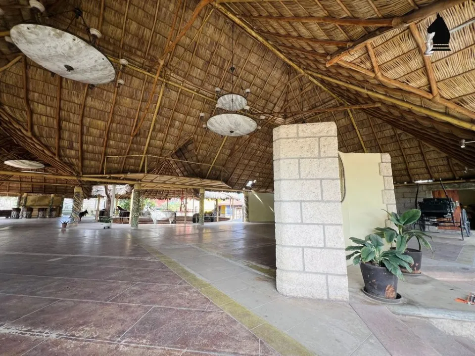 Foto 5 de Terreno en venta en Calle Camino Nacional, Mariano Otero, Zapopan