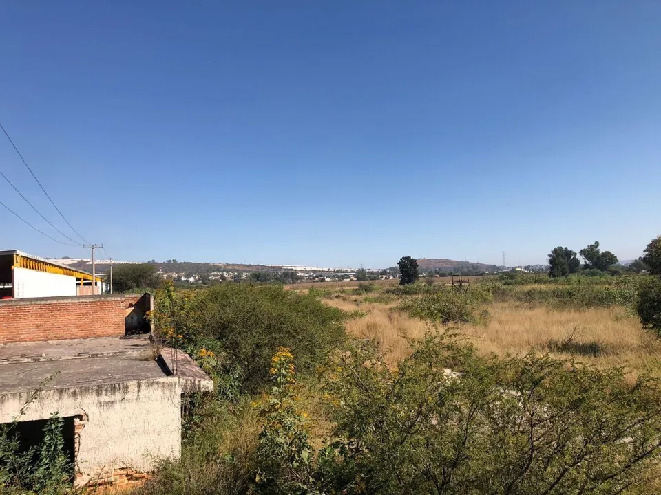 Foto 2 de Terreno Industrial en Venta en El Salto - Camino a San Jose del Castillo