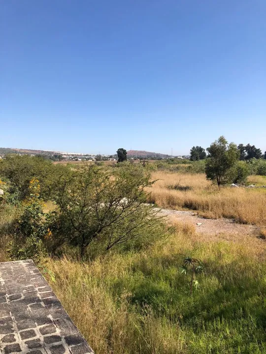 Foto 3 de Terreno Industrial en Venta en El Salto - Camino a San Jose del Castillo
