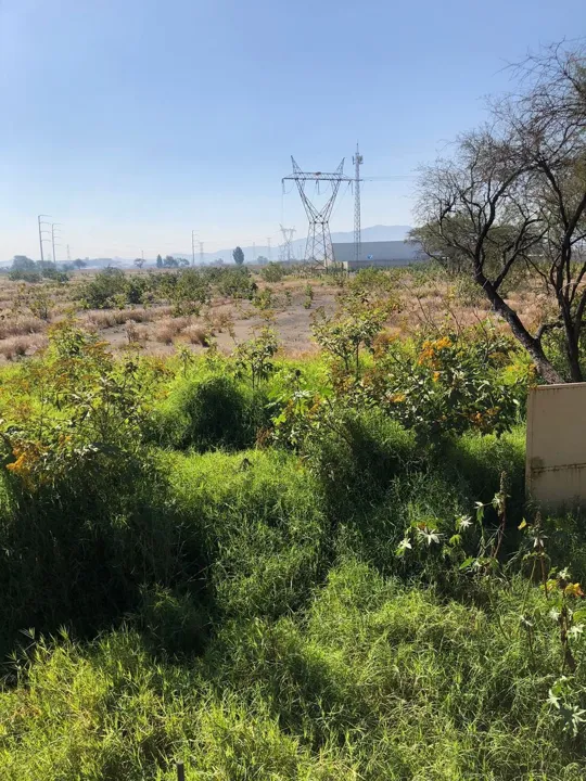 Foto 4 de Terreno Industrial en Venta en El Salto - Camino a San Jose del Castillo