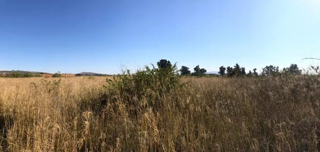Foto 7 de Terreno Industrial en Venta en El Salto - Camino a San Jose del Castillo