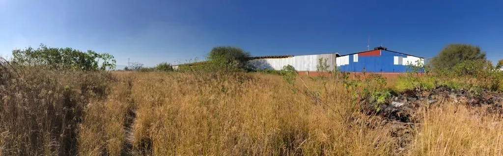 Foto 9 de Terreno Industrial en Venta en El Salto - Camino a San Jose del Castillo