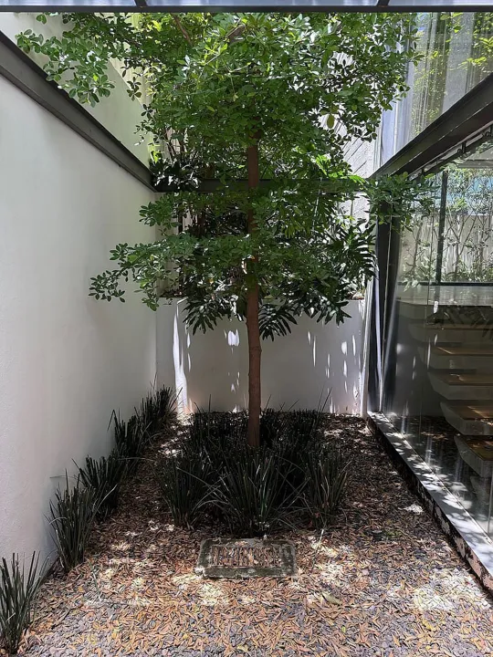 Foto 6 de Casa en Renta en Puerta Las Lomas – Exclusividad, Lujo y Confort.