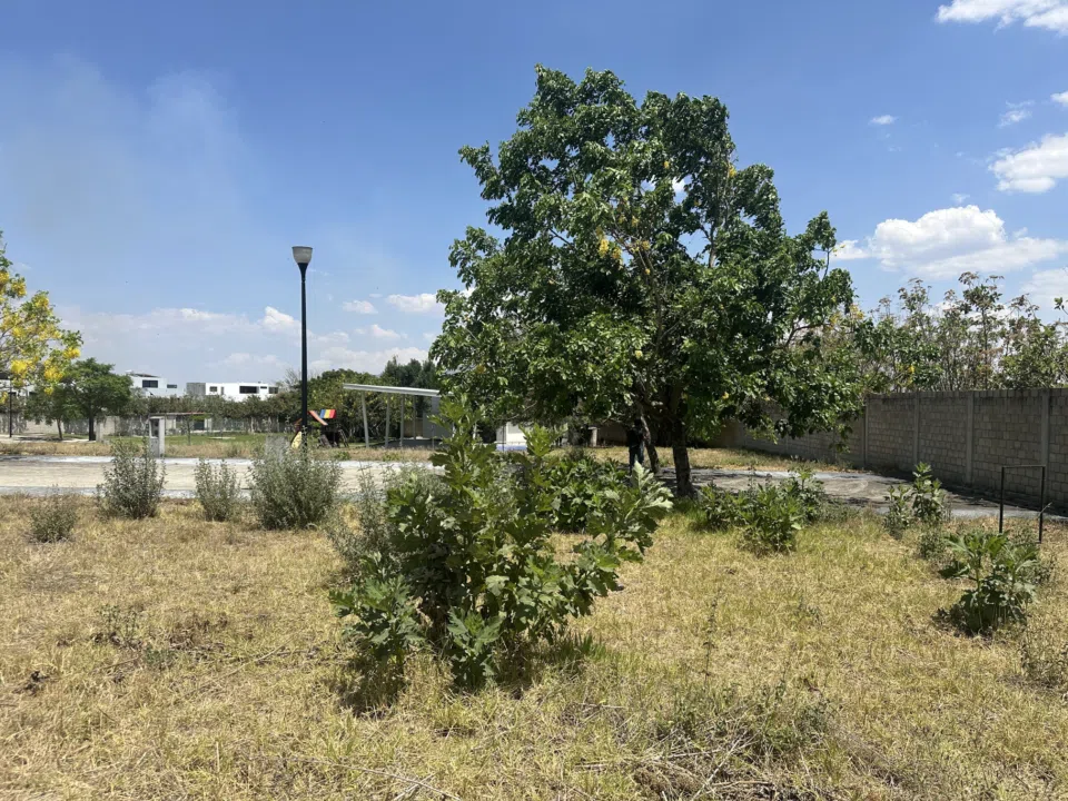 Foto 2 de Terreno en venta en Habitat San Millán, Santa Anita