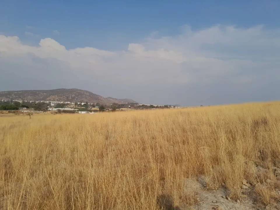 Foto 6 de Terreno en venta en Carretera a Colotlán, El Taray, Zapopan