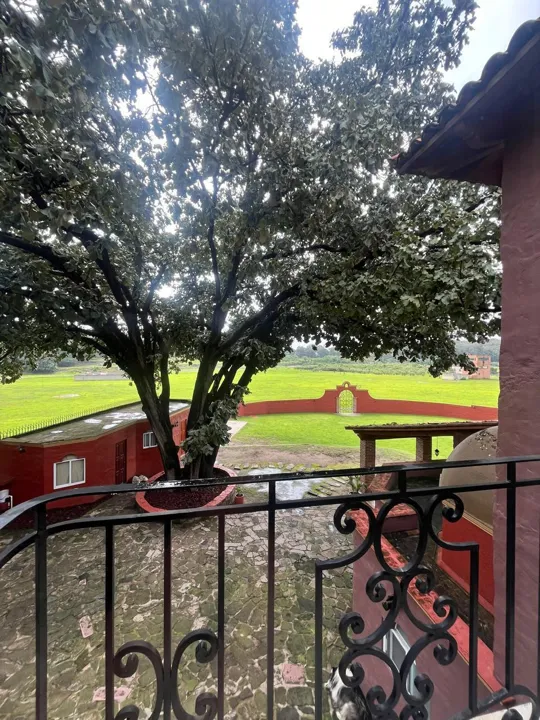 Foto 8 de Casa de Campo en venta en La Primavera - La Cuesta