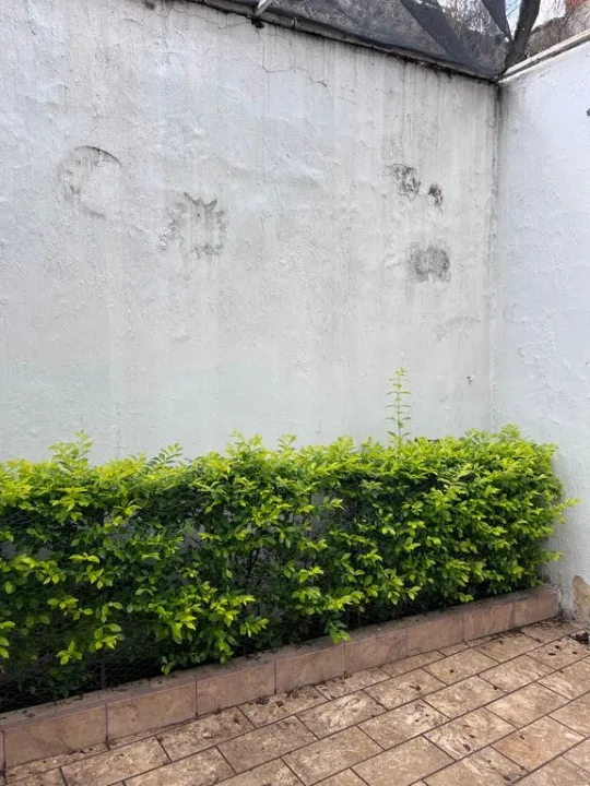 Foto 2 de Casa en venta en Calle Volcán Popocatépetl, Colli Urbano, Zapopan