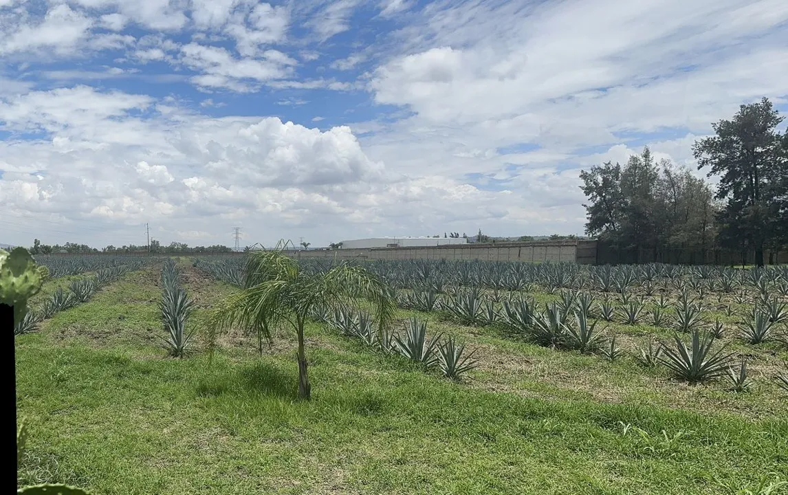 Foto 3 de TERRENO EN VENTA EN TLAJOMULCO DE ZUÑIGA, JAL.