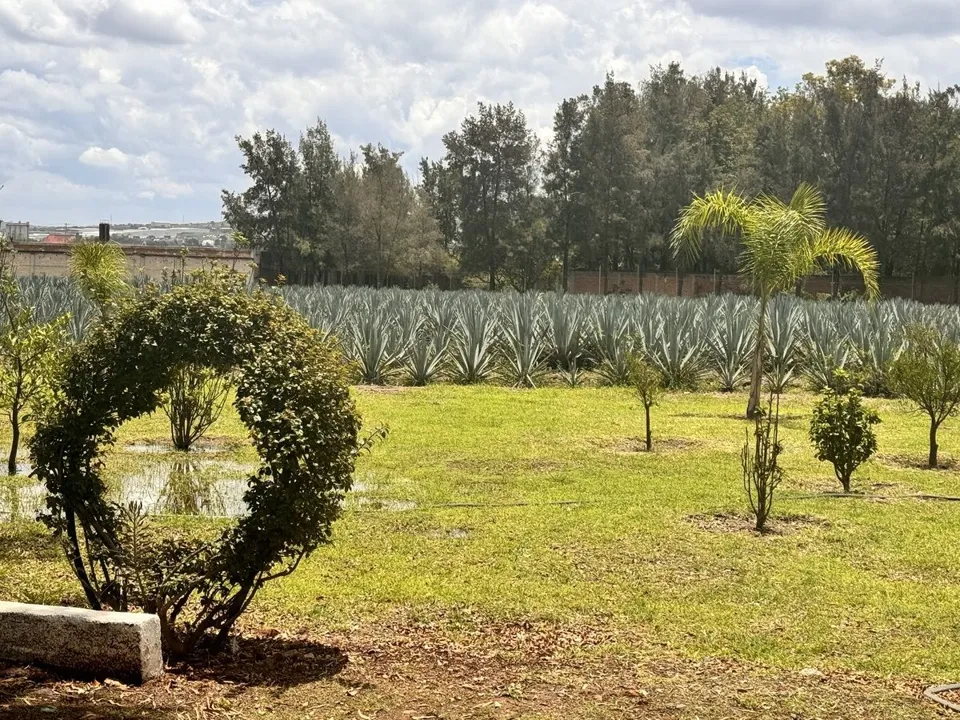 Foto 5 de TERRENO EN VENTA EN TLAJOMULCO DE ZUÑIGA, JAL.