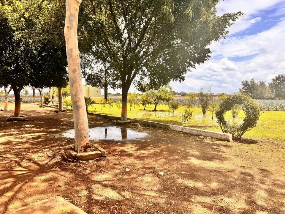 Foto 6 de TERRENO EN VENTA EN TLAJOMULCO DE ZUÑIGA, JAL.